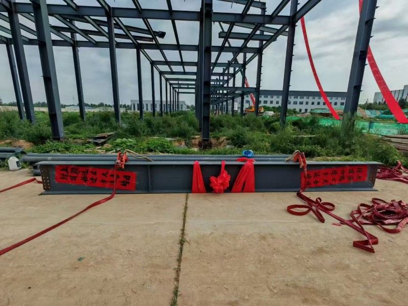 Yongcheng Xingye Steel Structure Company Pinabilis na Konstruksyon ng Hebei Bosheng Food Workshop